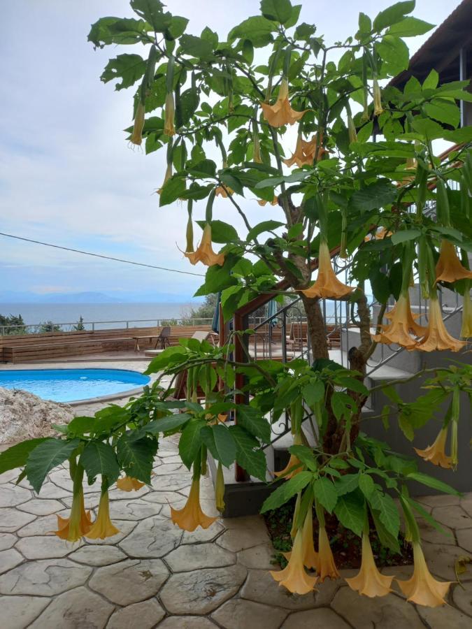 Seven Keys Luxury Suites Achilleion Bagian luar foto